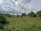 Parduodamas namų valdos sklypas Panemuninkų k - nuotraukos Nr. 2