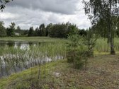 24 Arai Unikalioje Vietoje Pusiasalio - nuotraukos Nr. 3