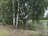 24 Arai Unikalioje Vietoje Pusiasalio - nuotraukos Nr. 2