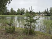 24 Arai Unikalioje Vietoje Pusiasalio - nuotraukos Nr. 6
