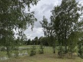 24 Arai Unikalioje Vietoje Pusiasalio - nuotraukos Nr. 8