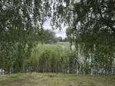 24 Arai Unikalioje Vietoje Pusiasalio - nuotraukos Nr. 10