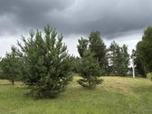 24 Arai Unikalioje Vietoje Pusiasalio - nuotraukos Nr. 5