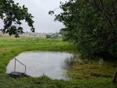 Lazdijų mieste, Kalnų g.15 parduodamas 32 arų - nuotraukos Nr. 18