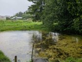 Lazdijų mieste, Kalnų g.15 parduodamas 32 arų - nuotraukos Nr. 19