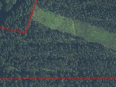 Parduodamas miškas Stripūnų kaime 4,1383 ha - nuotraukos Nr. 2