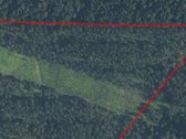 Parduodamas miškas Stripūnų kaime 4,1383 ha - nuotraukos Nr. 3