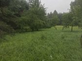 Pušyno Apsuptyje – Sklypas Netoli Birštono 
