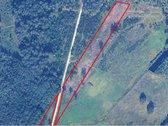 Parduodame 2023m iškirstus miškus. Augo - nuotraukos Nr. 2
