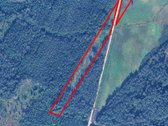 Parduodame 2023m iškirstus miškus. Augo - nuotraukos Nr. 3