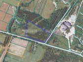 Parduodamas 3,6ha žemės ūkio paskirties - nuotraukos Nr. 8