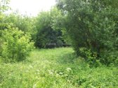 Parduodamas 3,6ha žemės ūkio paskirties - nuotraukos Nr. 10