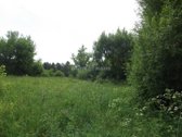 Parduodamas 3,6ha žemės ūkio paskirties - nuotraukos Nr. 11