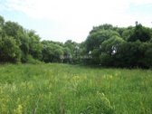 Parduodamas 3,6ha žemės ūkio paskirties - nuotraukos Nr. 12