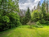 Sklypas Miške Prie Ežero – Unikali Vieta, - nuotraukos Nr. 5