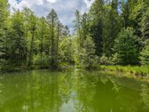 Sklypas Miške Prie Ežero – Unikali Vieta, - nuotraukos Nr. 7