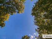 Parduodamas 7 Arų Namų Valdos Sklypas Su - nuotraukos Nr. 12
