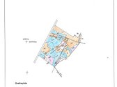 Parduodami perspektyvūs miško sklypai – - nuotraukos Nr. 6