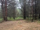 Parduodami naujai suformuoti namų valdos - nuotraukos Nr. 3