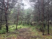 Parduodami naujai suformuoti namų valdos - nuotraukos Nr. 4