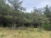 Parduodami naujai suformuoti namų valdos - nuotraukos Nr. 6