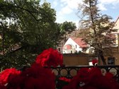 Vilniaus Senamiestyje, Aušros Vartų Prieigose - nuotraukos Nr. 4