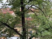 Vilniaus Senamiestyje, Aušros Vartų Prieigose - nuotraukos Nr. 16