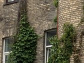 Vilniaus Senamiestyje, Aušros Vartų Prieigose - nuotraukos Nr. 18