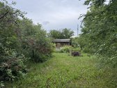 Parduodamas sodo sklypas su nameliu - nuotraukos Nr. 4