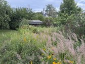 Parduodamas sodo sklypas su nameliu - nuotraukos Nr. 5