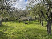 Ieškote ramaus kampelio poilsiui gamtos - nuotraukos Nr. 7