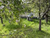 Ieškote ramaus kampelio poilsiui gamtos - nuotraukos Nr. 8