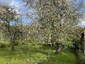 Ieškote ramaus kampelio poilsiui gamtos - nuotraukos Nr. 4