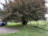 Parduodamas gyvenamasis namas pačiame - nuotraukos Nr. 7