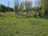 Parduodamas gražioje ir ramioje , šalia - nuotraukos Nr. 3