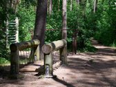 Parduodama Išskirtinė Vila Palangoje  Ajerų - nuotraukos Nr. 50