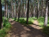 Parduodama Išskirtinė Vila Palangoje  Ajerų - nuotraukos Nr. 49