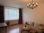 Išnuomojamas erdvus ir tvarkingas dviejų - nuotraukos Nr. 3
