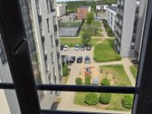 Parduodamas butas tvarkingame, gražiai - nuotraukos Nr. 11