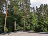Išskirtinėje vietoje, Verkių regioninio parko - nuotraukos Nr. 42
