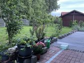 Parduodamas namas Šernuose. Sklypas - nuotraukos Nr. 13