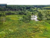 Parduodama Autentiška Ūkininko Sodyba Su 3,58 - nuotraukos Nr. 13