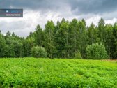 Parduodama Autentiška Ūkininko Sodyba Su 3,58 - nuotraukos Nr. 16