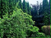 Parduodamas sodo namas su sklypu Alyvų g., - nuotraukos Nr. 6