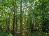 Klaipėdos r. sav., Kiškėnų k. - nuotraukos Nr. 2