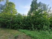 Klaipėdos r. sav., Kiškėnų k. - nuotraukos Nr. 4