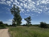 Varėnos r. sav., Kalėnų k. - nuotraukos Nr. 7
