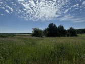 Varėnos r. sav., Kalėnų k. - nuotraukos Nr. 6