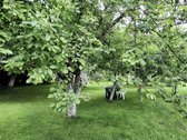 Vos Pusvalandis Kelio Iki Pajūrio - nuotraukos Nr. 38