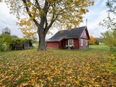 Molėtų rajone Bimbirių kaime (Čiulėnų sen.) - nuotraukos Nr. 31